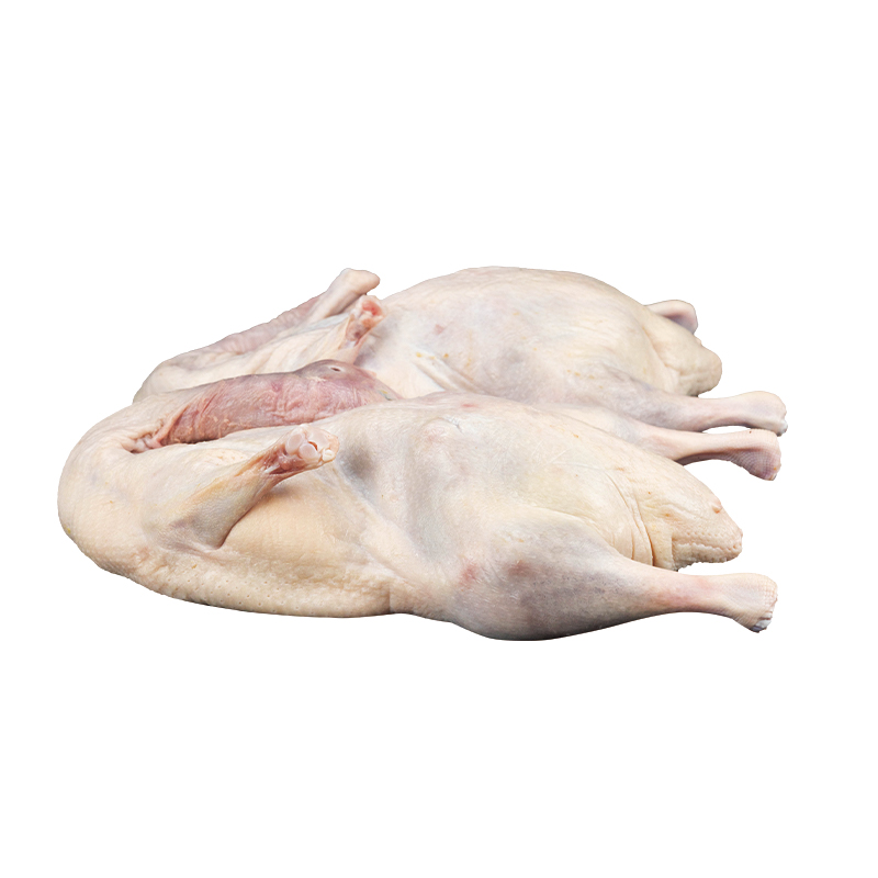 ANATRA CONG. 14.4KG (2,4KGX6PZ) 北京幼鸭